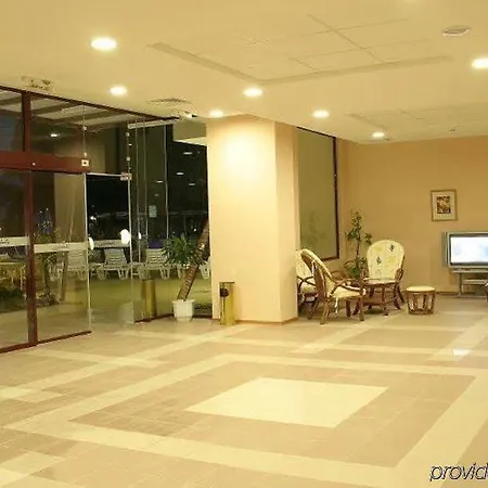 Gladiola Star Golden Sands